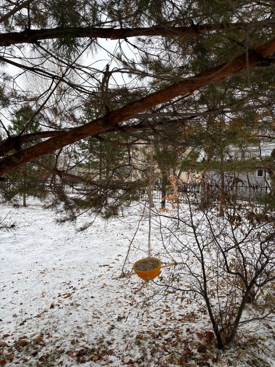 В тавдинском Центре творческого развития и гуманитарного образования «Гармония» дошколята отпраздновали Синичкин день В тавдинском Центре творческого развития и гуманитарного образования «Гармония» дошколята отпраздновали Синичкин день