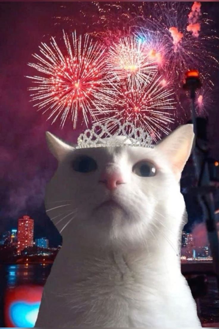 В Госдуме предлагают запретить продажу фейерверков