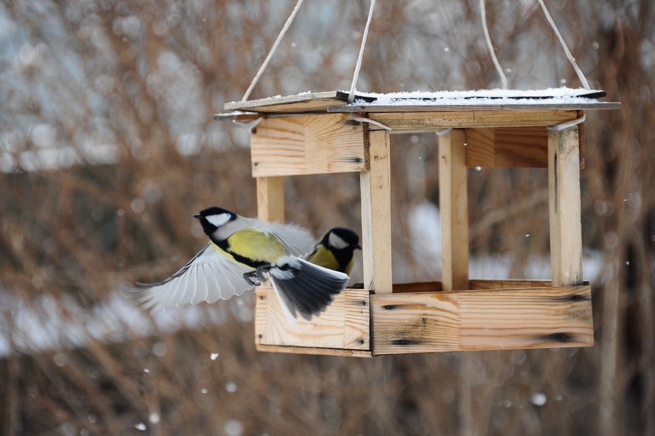 Вид опустевшего сада в ноябре навевает известную строчку романса Вид опустевшего сада в ноябре навевает известную строчку романса