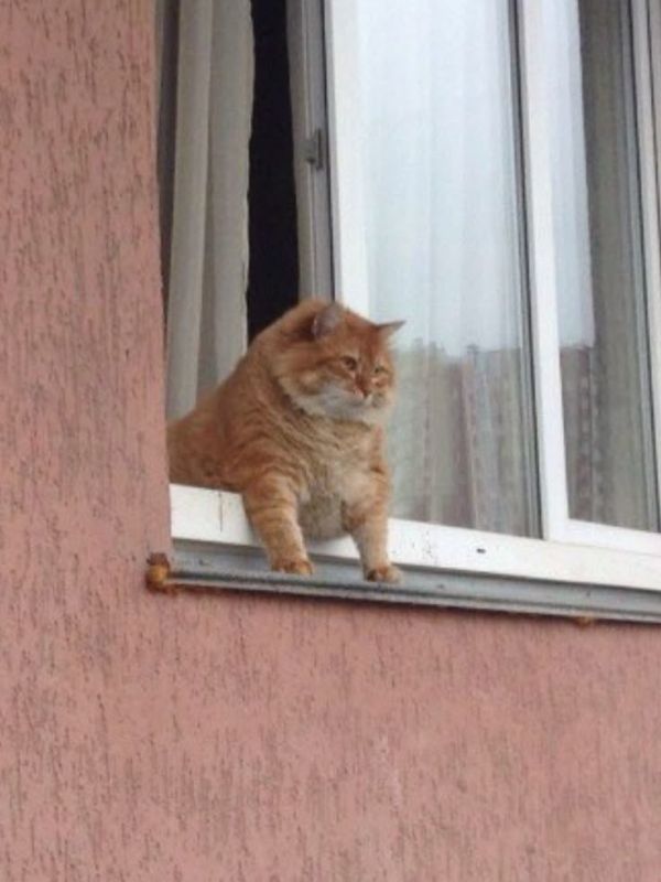 Свердловчан ждут теплые выходные