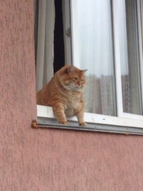 Свердловчан ждут теплые выходные