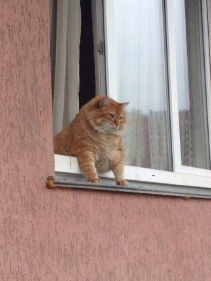 Свердловчан ждут теплые выходные