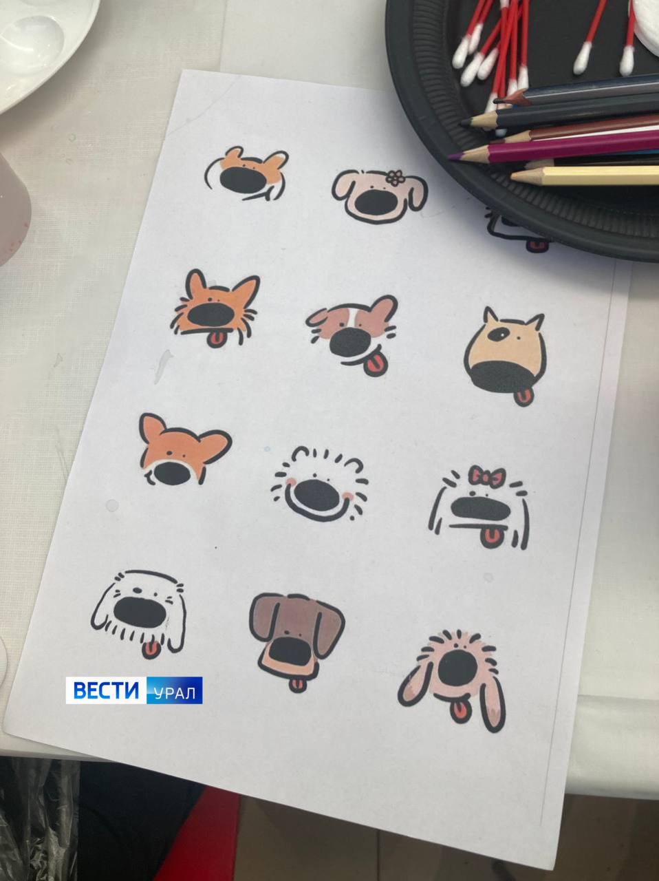 1234Те, кто не представляют жизнь без животных, встретились на большом фестивале в Екатеринбурге 1234Те, кто не представляют жизнь без животных, встретились на большом фестивале в Екатеринбурге