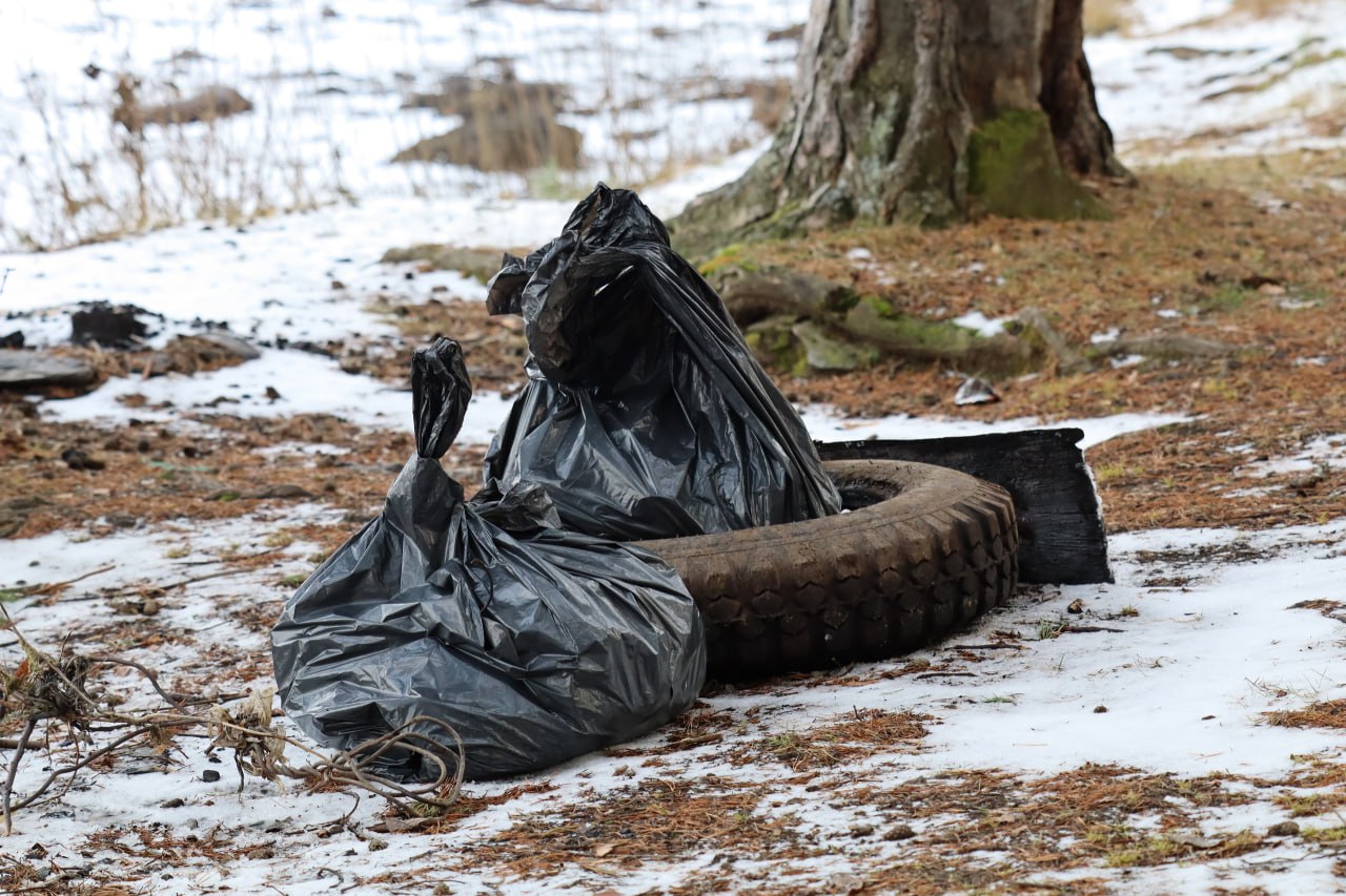 В Сысерти прошел второй субботник на береговой линии Сысертского пруда В Сысерти прошел второй субботник на береговой линии Сысертского пруда