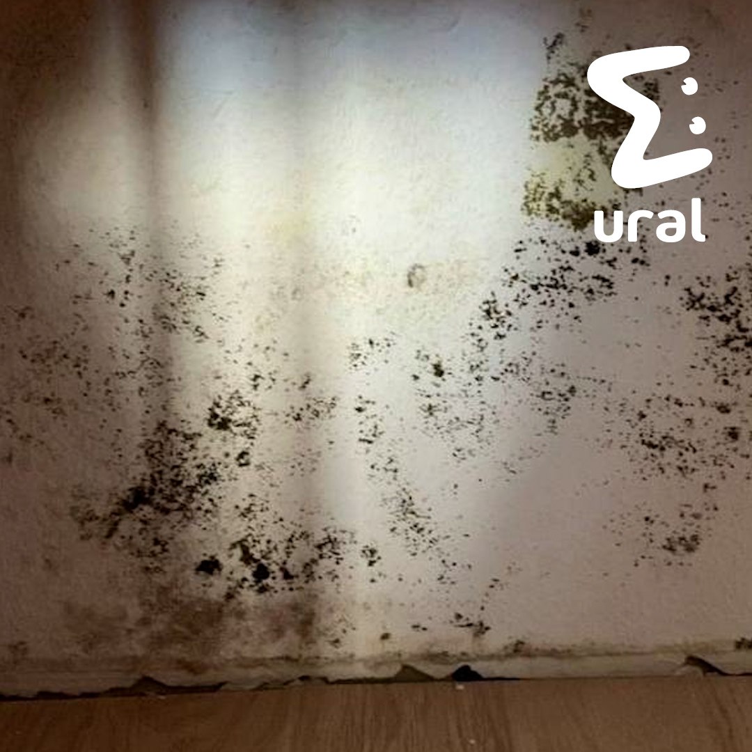 В екатеринбургском ЖК "Просторы" управляющая компания грозится отключить воду — в подвале снова потоп В екатеринбургском ЖК "Просторы" управляющая компания грозится отключить воду — в подвале снова потоп