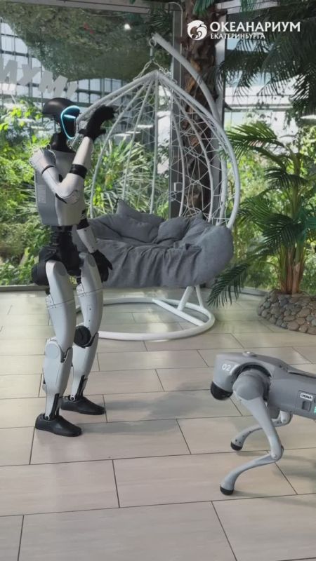 В Океанариуме теперь живут не только подводные обитатели