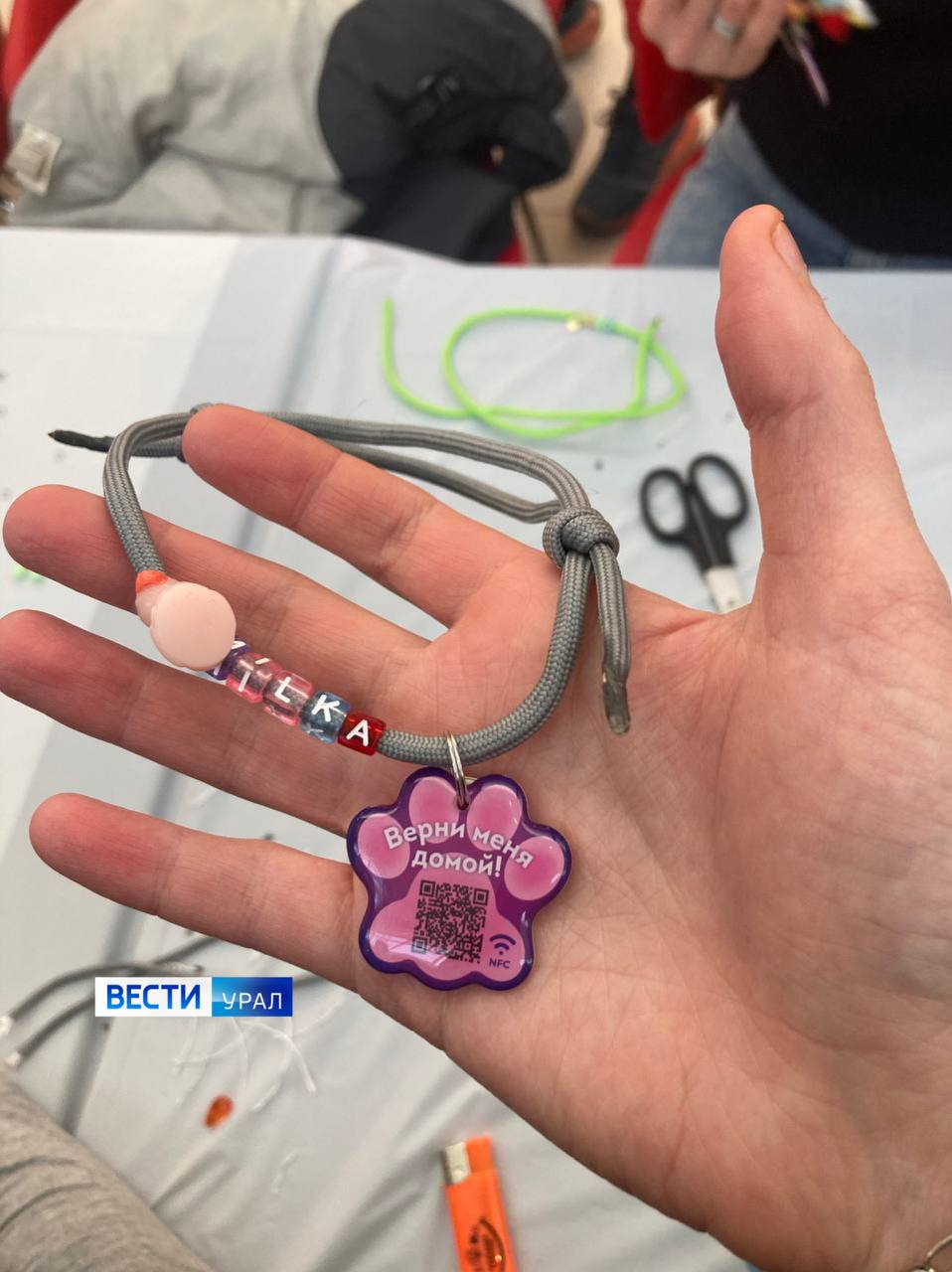 1234Те, кто не представляют жизнь без животных, встретились на большом фестивале в Екатеринбурге 1234Те, кто не представляют жизнь без животных, встретились на большом фестивале в Екатеринбурге