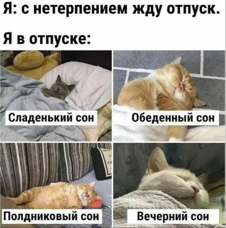 В Госдуме предложили исключить выходные из отпуска