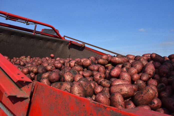 Уборка урожая в Уральском федеральном округе завершена
