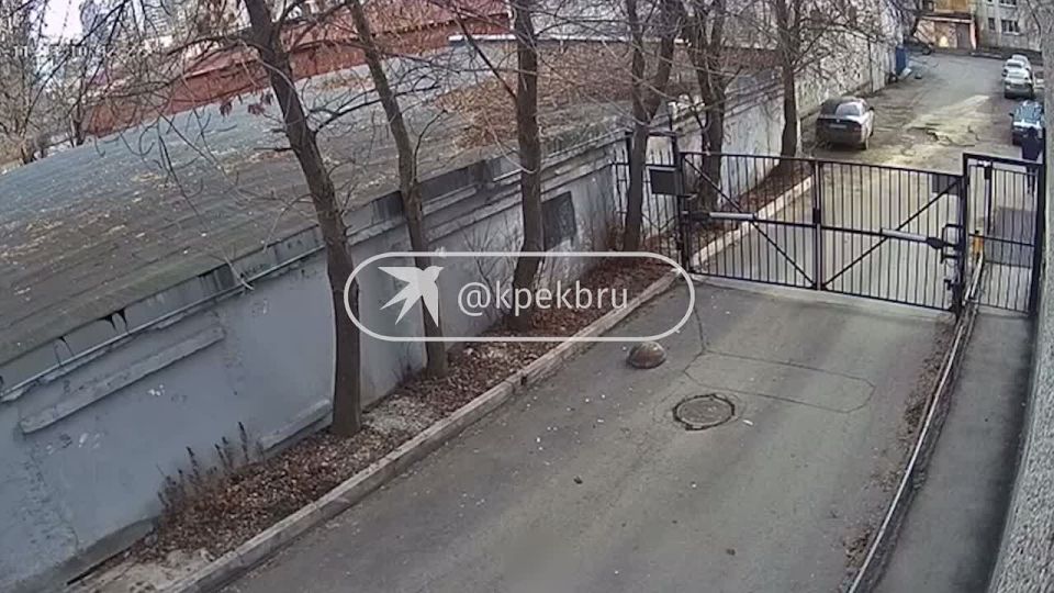 В Пионерском извращенец напугал девушку во дворе и попал на видео