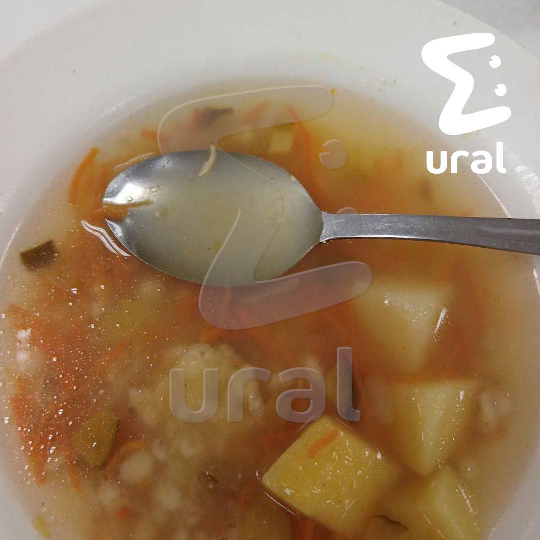 Такими блюдами кормили детей в Сургутском колледже Такими блюдами кормили детей в Сургутском колледже