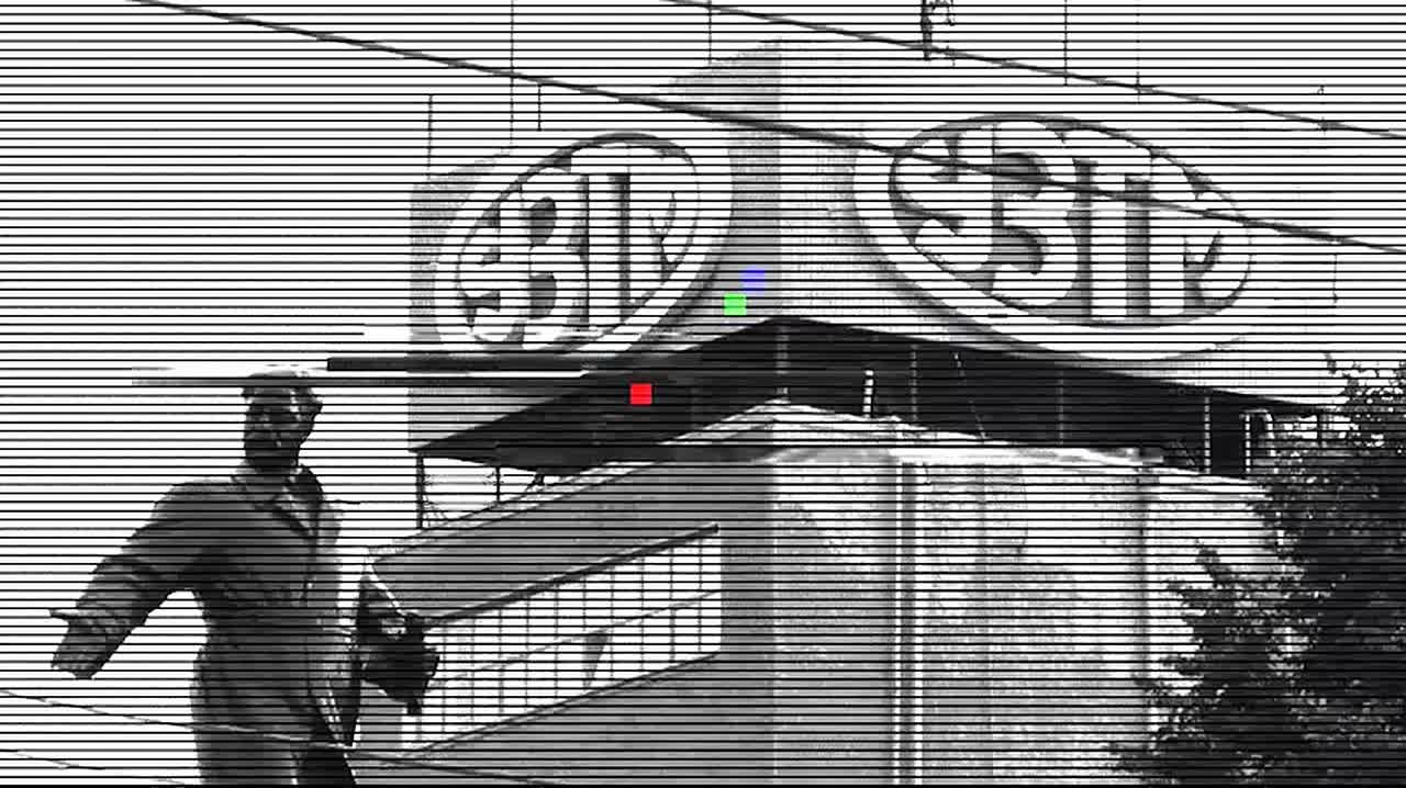 Алабай напал на восьмилетнего мальчика рядом с домом в Карпинске