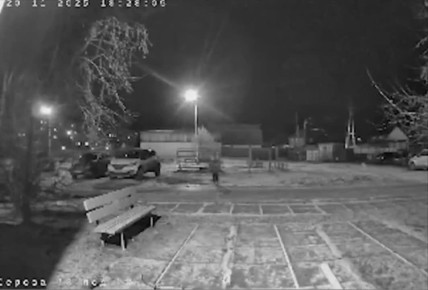 Стая бродячих собак едва не растерзала 8-летнего мальчика во дворе жилого дома в Карпинске Свердловской области