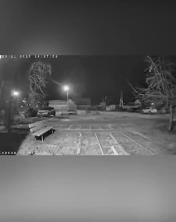 Стая бродячих собак с вожаком-алабаем едва не растерзала восьмилетнего мальчика в Карпинске Свердловской области