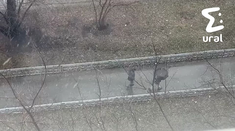 Погода в Екб жёстко биполярит