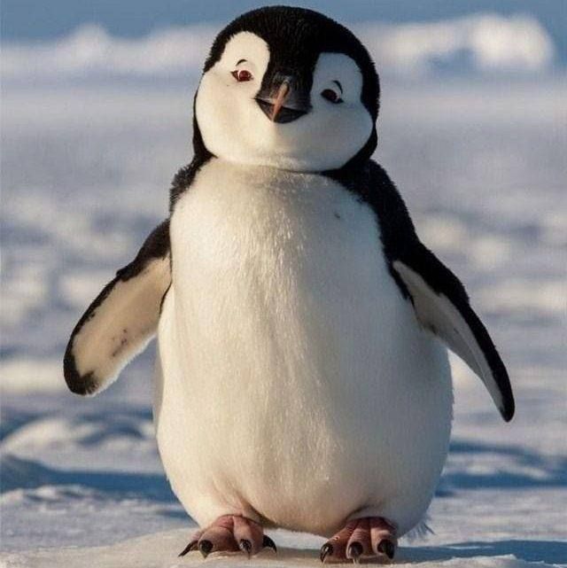 Автоинспекторы, похоже, сговорились с коммунальщиками и раздают екатеринбуржцам "смешные советы"