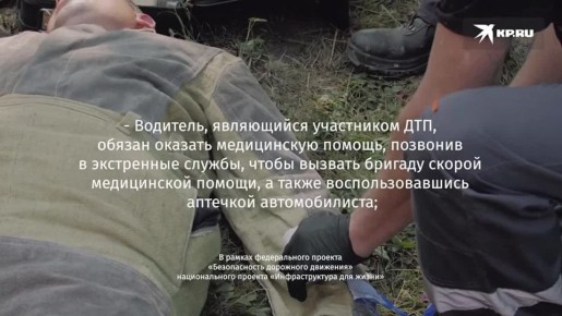 В Свердловской области с начала 2025 года произошло более 2000, в которых пострадали люди