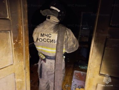 Пожар в многоэтажке Верхней Пышмы: два человека и собака погибли