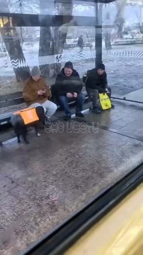 Важный вопрос к подписчикам: вы бы доверили этой собаке доставку колбасы?