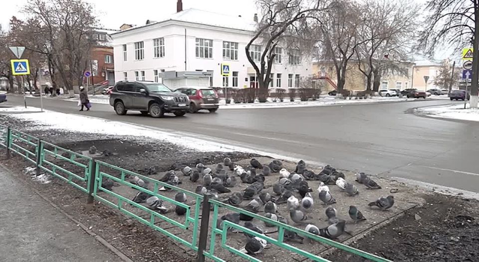 Первый видеовопрос Денису Паслеру пришёл из Артёмовского