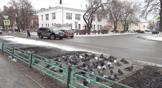 Первый видеовопрос Денису Паслеру пришёл из Артёмовского