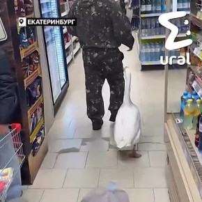 &quot;? 300   !?  *?&quot;