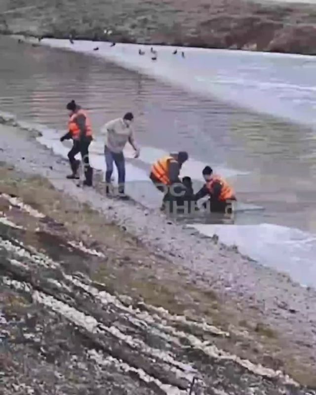 В Екатеринбурге прохожий спас школьника, провалившегося под лед