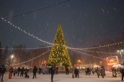 Огни на главной ёлке в парке Маяковского зажгут 6 декабря