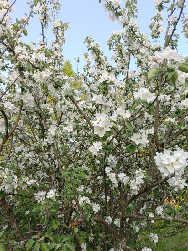 Мудрость и мечты: о поисках счастья после 60