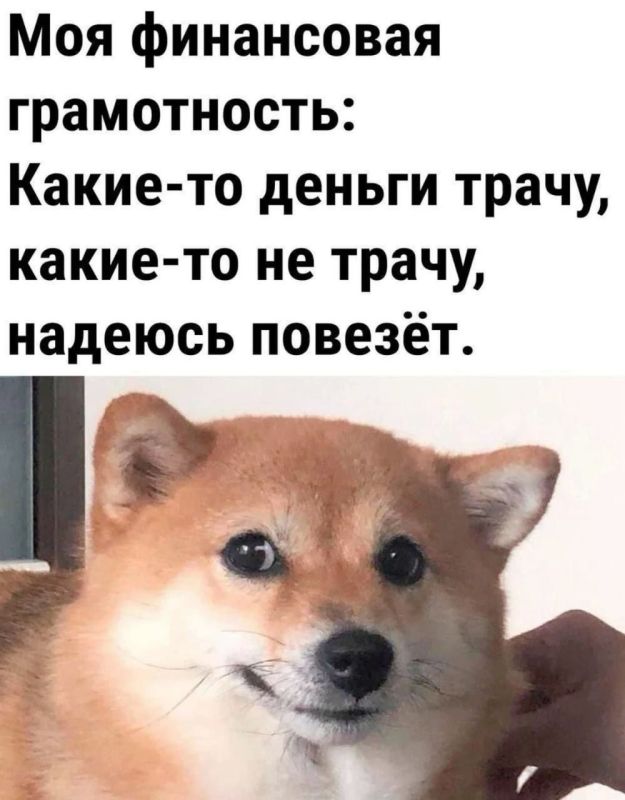 Сегодня откладываем кошельки и кредитки! 28 ноября — Всемирный день без покупок