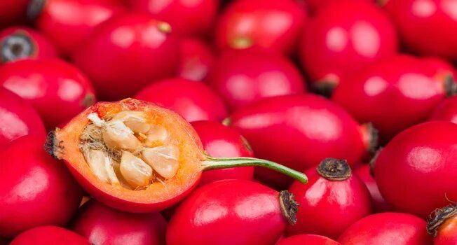 Шиповник: вкусный источник витаминов и здоровья