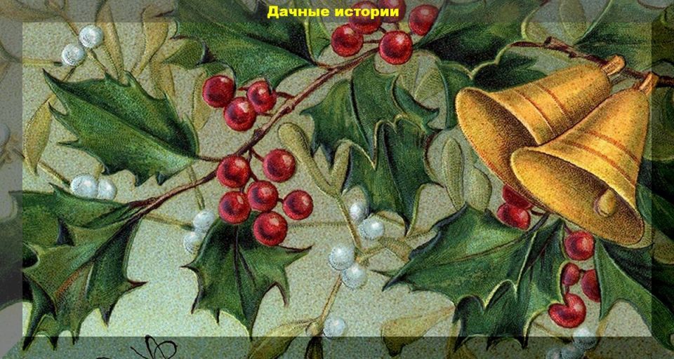 Омела: Растение, Окутанное Тайнами и Традициями