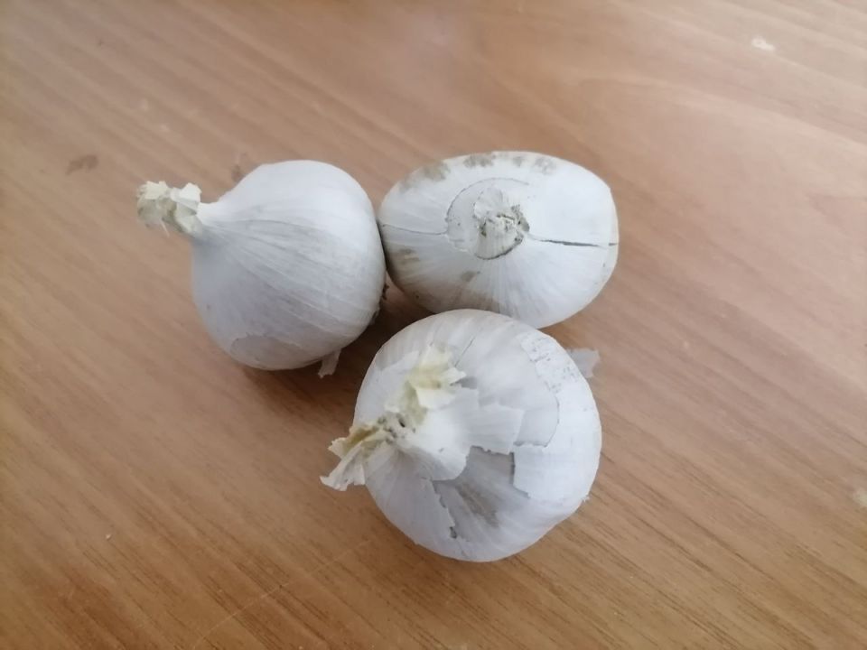 Как пережить зиму: секреты успешного роста рокамболя в Сибири