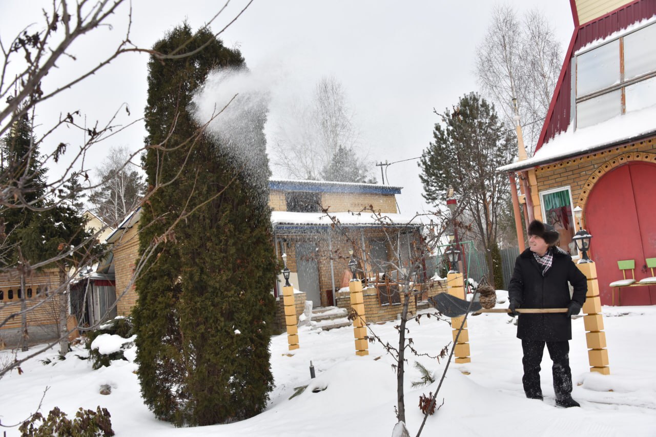 Да, в декабре сад и огород не требуют много внимания Да, в декабре сад и огород не требуют много внимания