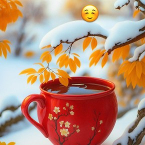  , !. , 29 ,      : ,       