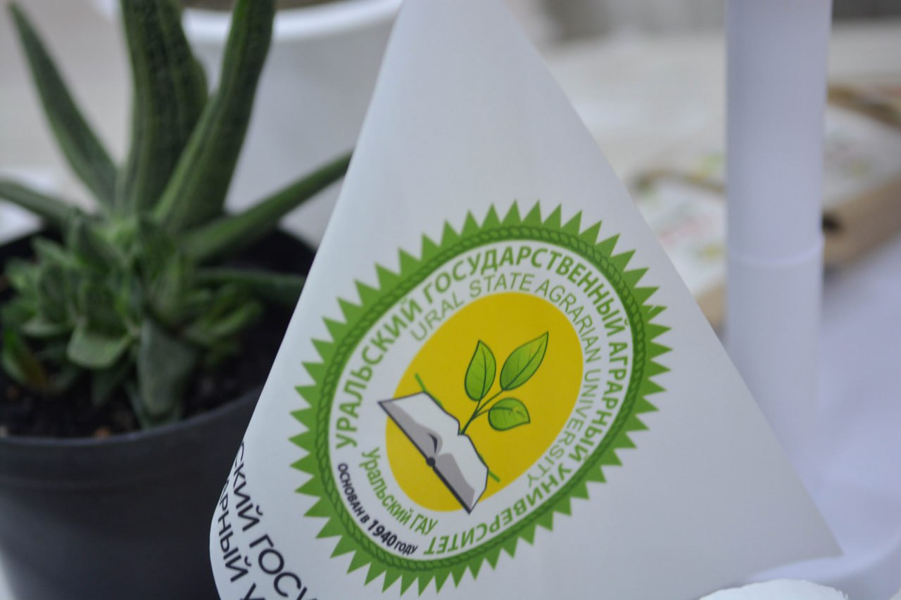 Да, в декабре сад и огород не требуют много внимания Да, в декабре сад и огород не требуют много внимания