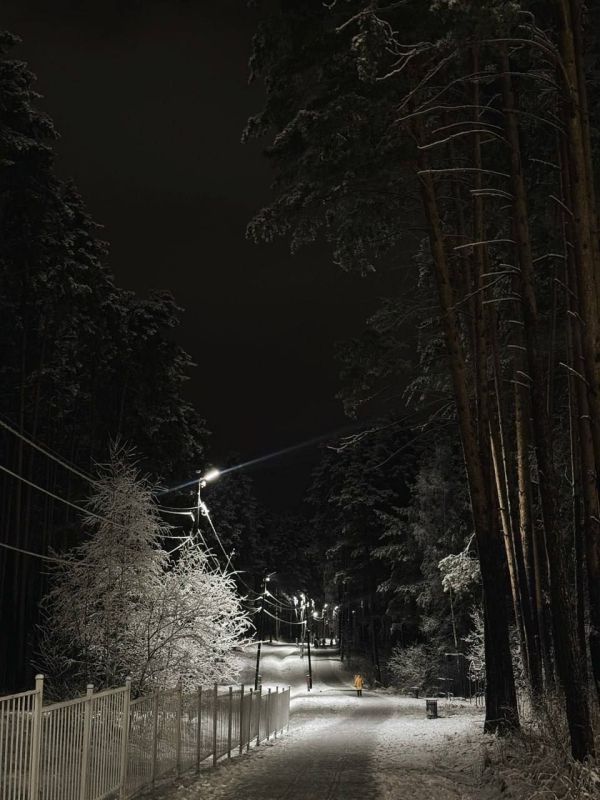 Сегодня Березовский превратился в настоящую зимнюю сказку