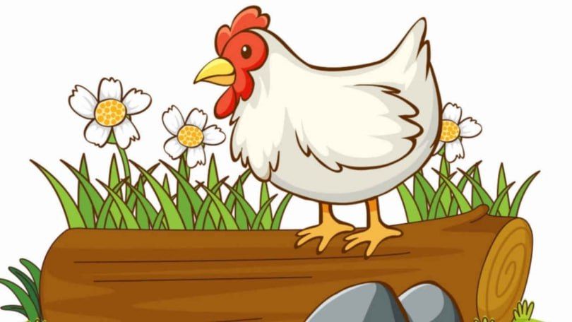 Ученый объяснил, как защититься от нового птичьего гриппа