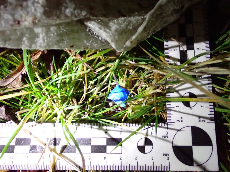 На Урале транспортные полицейские с помощью БПЛА выявили и задержали подозреваемых в сбыте героина