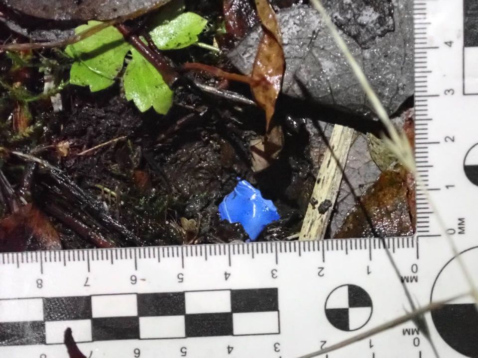 Подозреваемых в сбыте героина с помощью беспилотника выявили и задержали правоохранители Подозреваемых в сбыте героина с помощью беспилотника выявили и задержали правоохранители