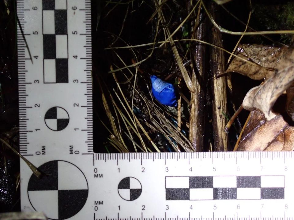 На Урале транспортные полицейские с помощью БПЛА выявили и задержали подозреваемых в сбыте героина На Урале транспортные полицейские с помощью БПЛА выявили и задержали подозреваемых в сбыте героина