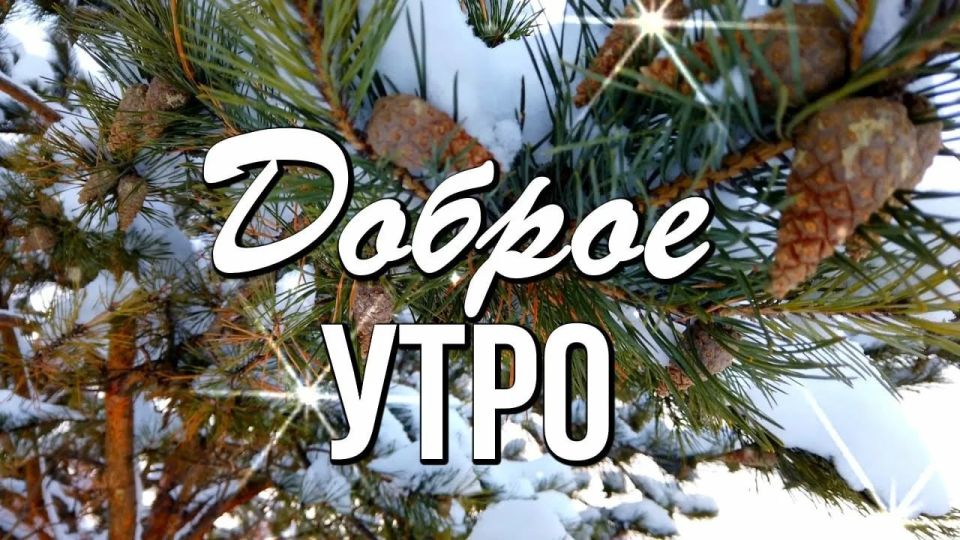 Доброе утро, Урал!. Вторник, 2 декабря, приносит настоящую зимнюю погоду — с облаками, небольшим минусом и снегом