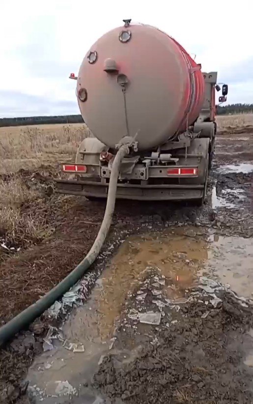 Жители Сысертского района взяли охрану природы в свои руки