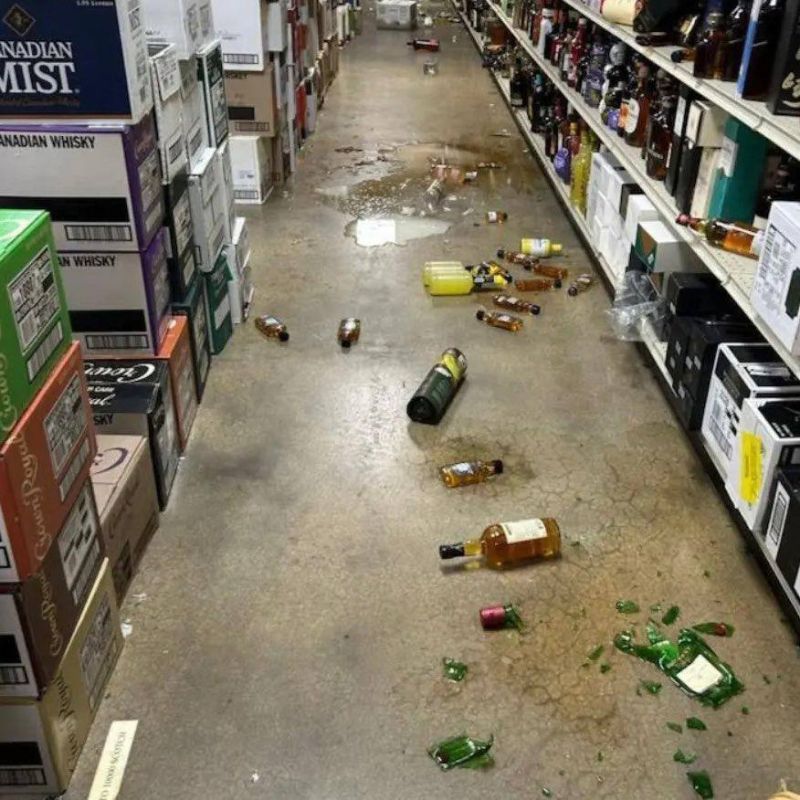 Забавное из-за границы: в США енот пробрался в алкомаркет, напился и разгромил витрины
