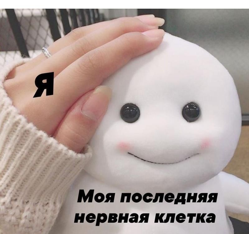 Сегодня отмечается самый несносный день в году