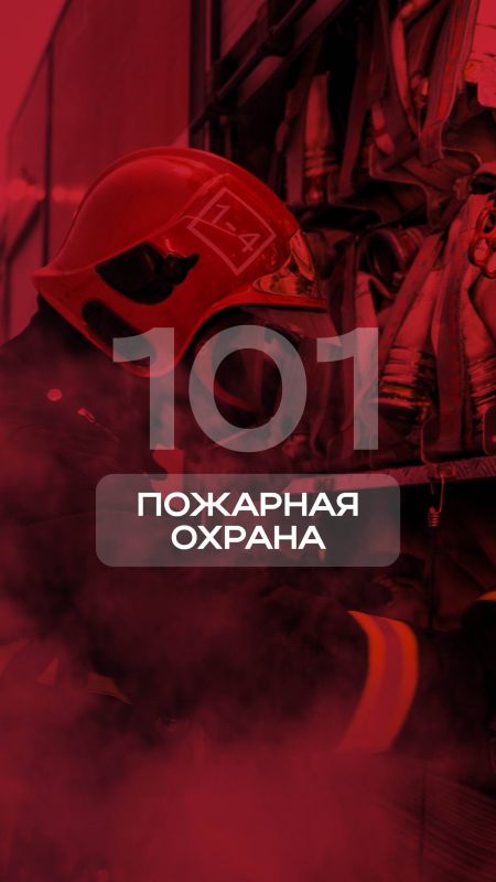 Произошла трагедия, а малыш растерялся