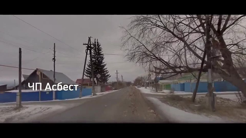 В Асбесте улицу завалило тушками куриц