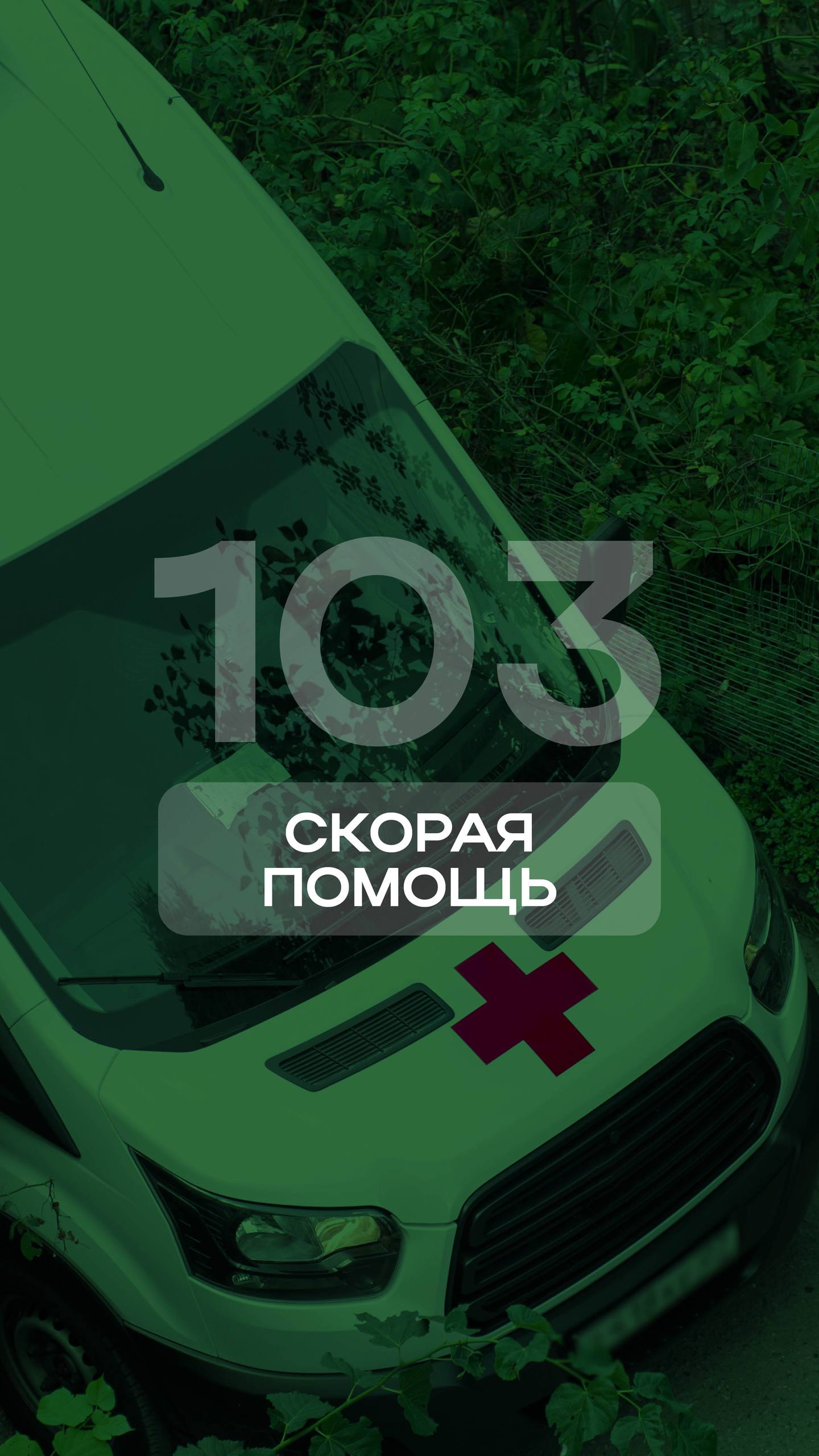 Произошла трагедия, а малыш растерялся Произошла трагедия, а малыш растерялся