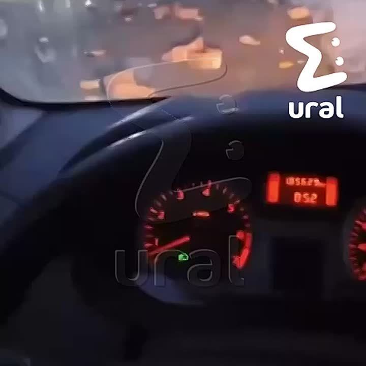 Асбест снова засыпало куриными тушками