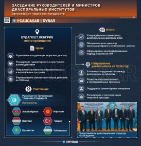 Тюркская ставка на диаспоры